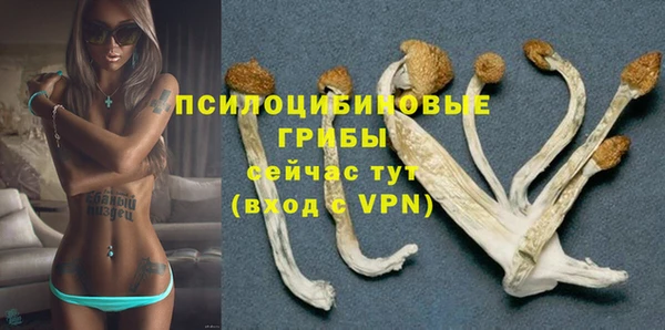 ECSTASY Алзамай