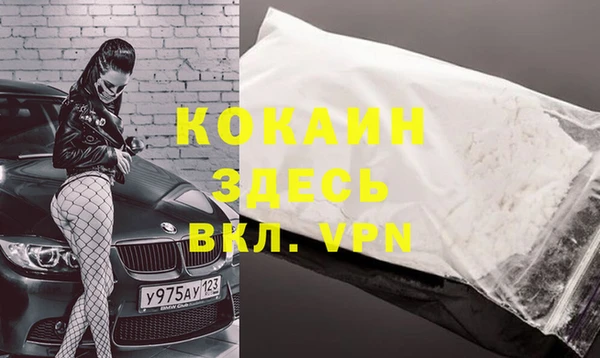 гидра Алексин