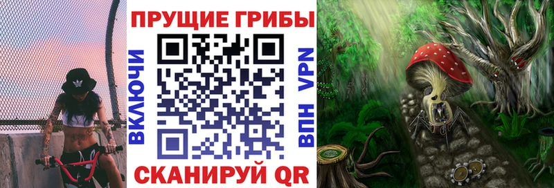 Купить  Иноземцево  Псилоцибиновые грибы мицелий 